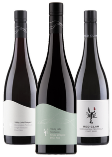 2024 Pinot Noir Pack