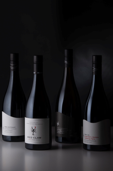 2022 Pinot Collection Six Pack